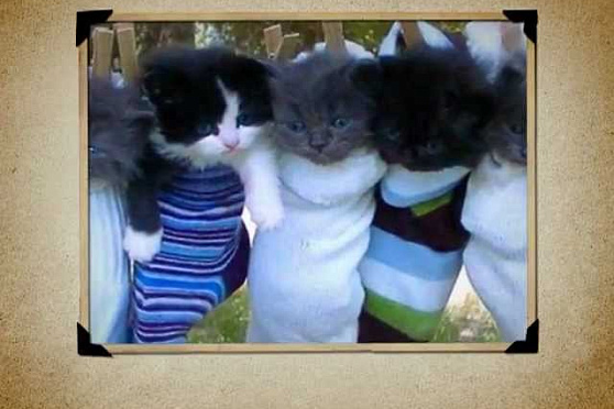 Календарь Губернии 30.11.2012