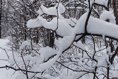 В Самарской области 22 декабря будет облачно и снежно