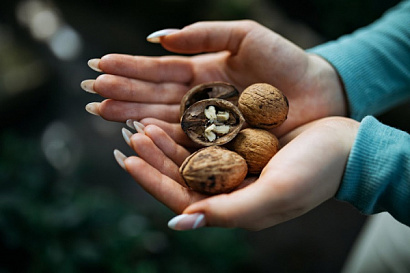 Название статьи