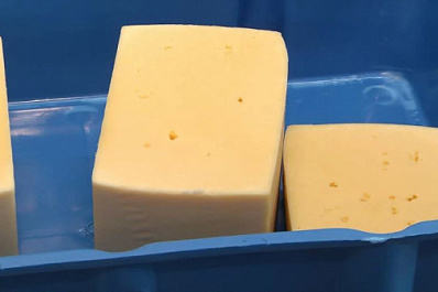 В Кошкинском районе открыли цех по изготовлению сыров