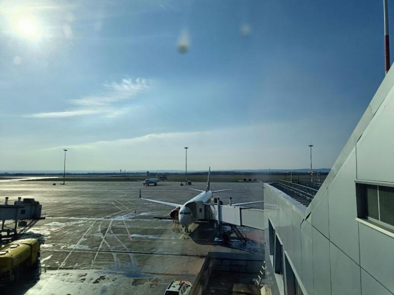 В аэропорту Курумоч изъяли 111,4 кг запрещенных орехов, фруктов и специй