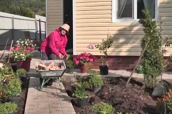 Дачные советы 06.09.2012