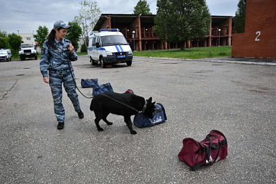 В Самарской области в свой профессиональный праздник кинологи рассказали об обучении служебных собак