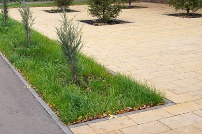 Благоустройство парка в поселке Масленниково идет полным ходом 