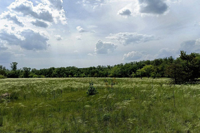 В Самарской области 22 мая усилится ветер