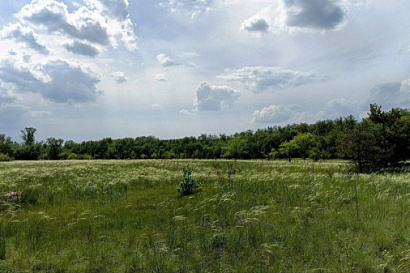 Название статьи