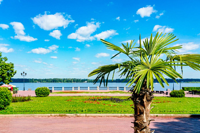 В Самарскую область 31 августа нагрянет 30-градусная жара