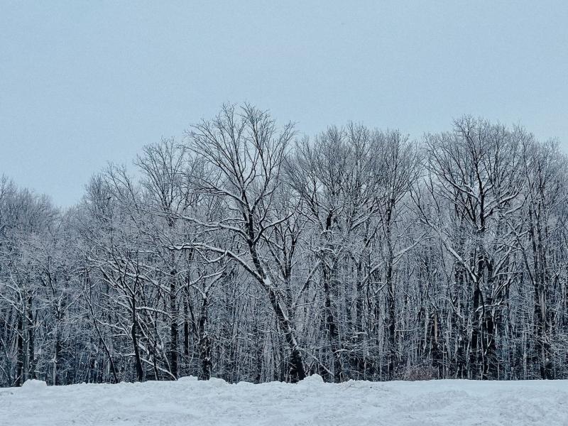 В Самарской области 2 января будет снежно и тепло