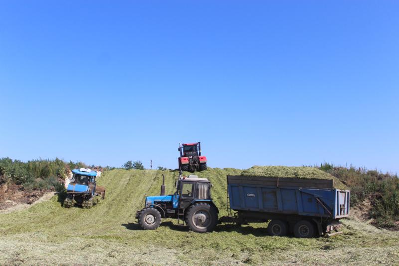 Земля кормит: как хозяйство из Самарской области развивает растениеводство и животноводство