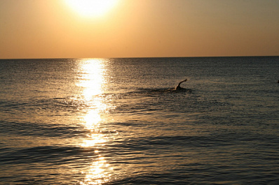 В Самаре состоялся массовый заплыв через реку Волгу с 50 участниками