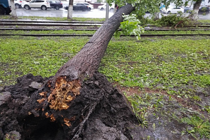 Название статьи