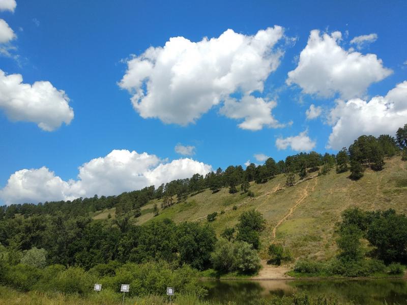 Сотрудники Минлесхоза провели противопожарный рейд на Грушинской поляне
