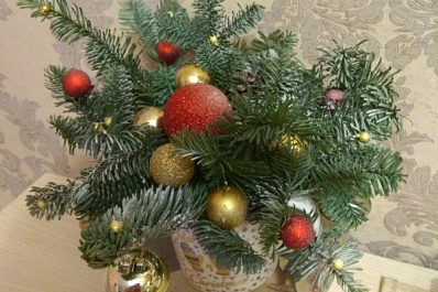 Участники семейного конкурса готовятся к праздникам и учатся действовать в экстренных ситуациях