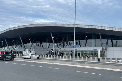 В самарском аэропорту изъяли 73 кг запрещенных продуктов