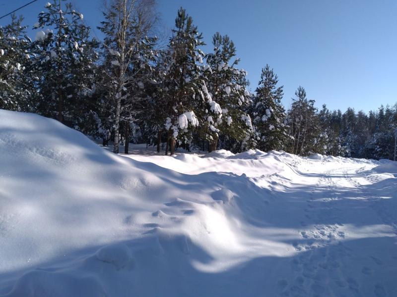 В ночь на 20 декабря в Самарской области ударит сильный мороз