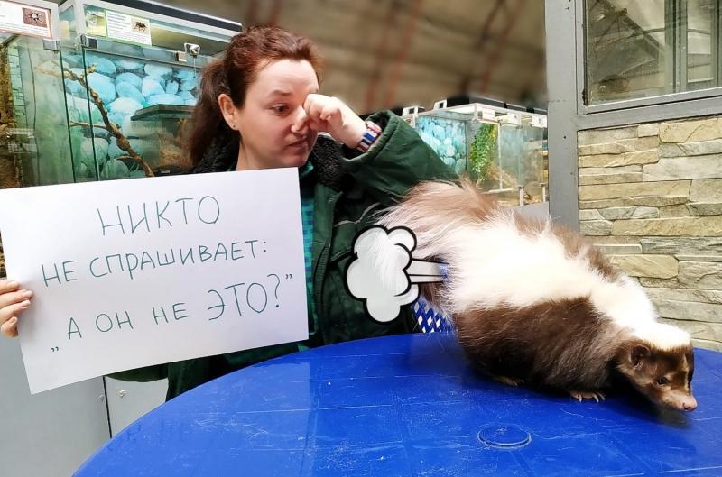 Самарский зоопарк присоединился к "культурному флешмобу" против коронавируса