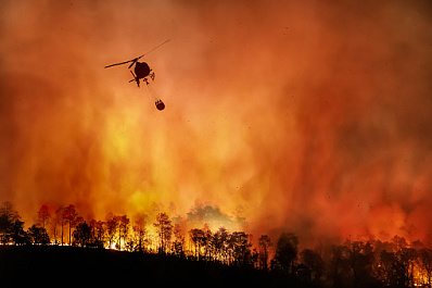 Желтый уровень опасности: в МЧС по Самарской области рассказали, как не допустить пожар в лесу 