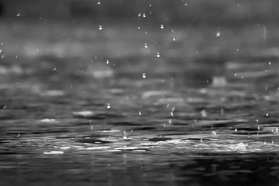 25 марта в Самарской области обещают +14 градусов и дождь