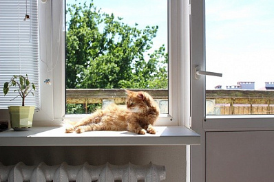 В Самарской области потеплеет до +30 °C 