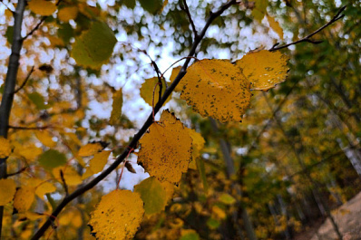 Народные приметы на 7 октября 2025 года: что нельзя делать в этот день