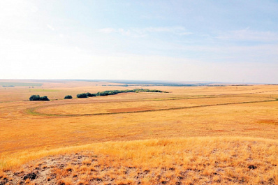 В Самарской области готовят путеводитель по Алексеевскому району
