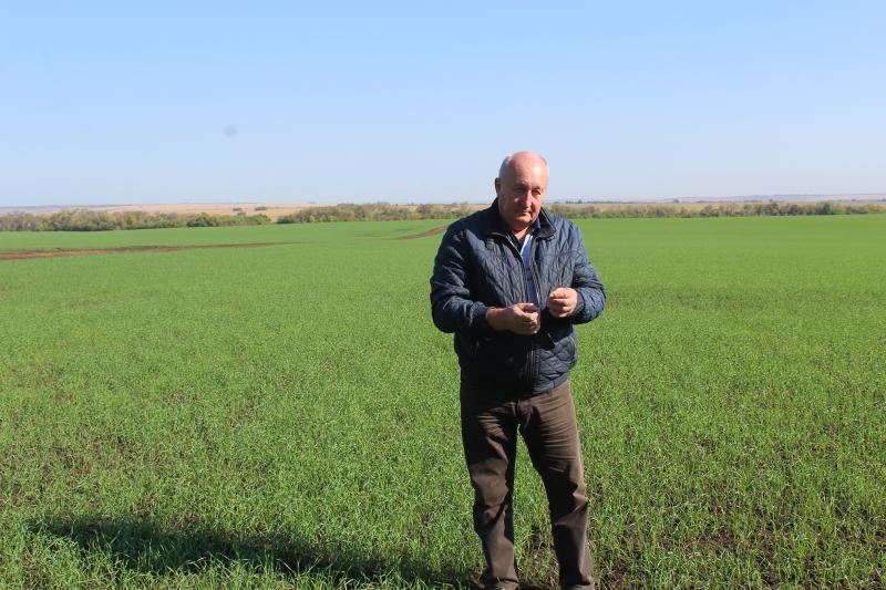 Молочный план: как в Новом Сарбае развивают животноводство