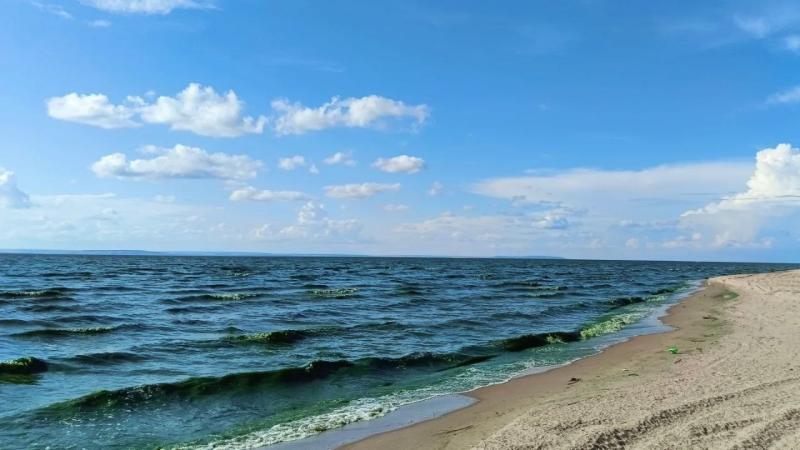 В Самарской области температура воды в Волге держится на уровне 22 градусов 