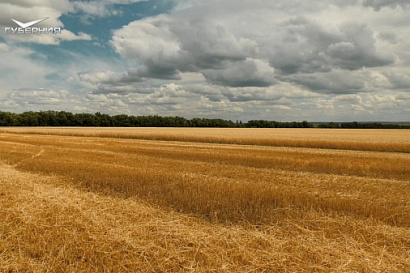 Название статьи