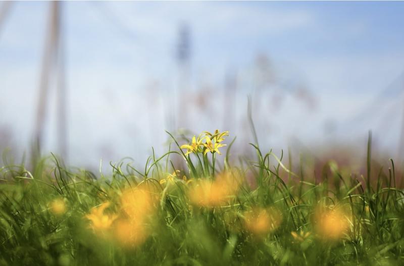 В Самарской области синоптики рассказали о погоде на конец апреля