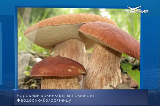 Феодосия-Колосятница. Календарь губернии от 11 июня