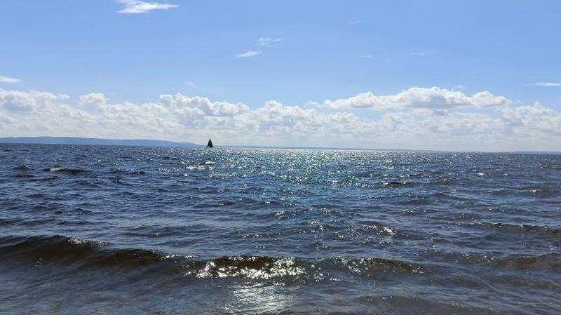 Двух мужчин осудили за браконьерство в нацпарке