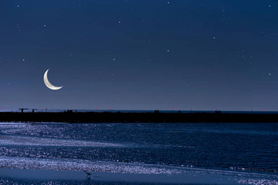 Сон в ночь с 21 на 22 февраля 2024 года: толкование по лунному календарю