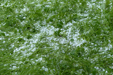 На Самарскую область надвигается град и ураганный ветер