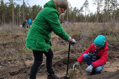 В Тольятти жители отметили День народного единства посадкой леса