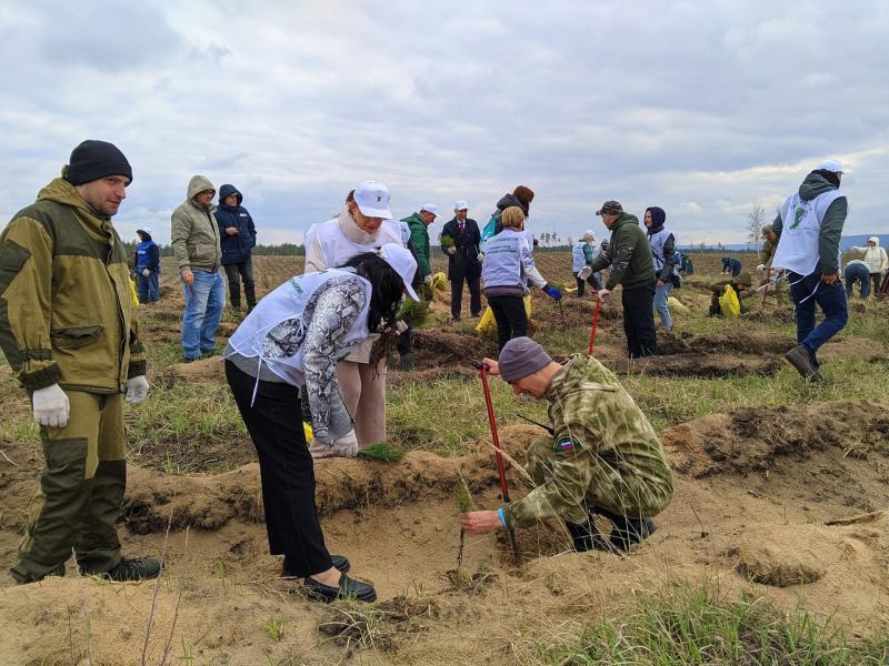 Для будущих поколений: в Самарской области посадили лес в память о погибших соотечественниках