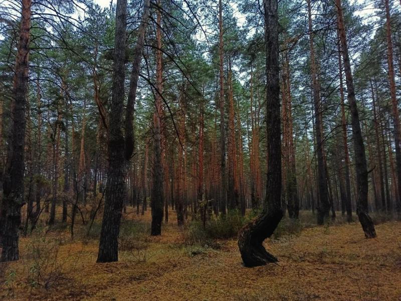 Народные приметы на 13 октября 2025 года: что нельзя делать в этот день