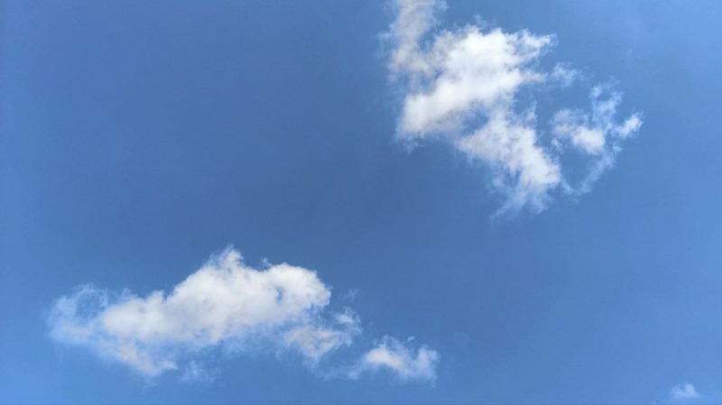 Жара и заморозки: какая погода будет в Самарской области 25 мая