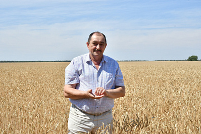 В оптимальные сроки: о прогнозах на урожай в 2020 году