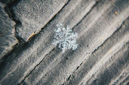 Название статьи