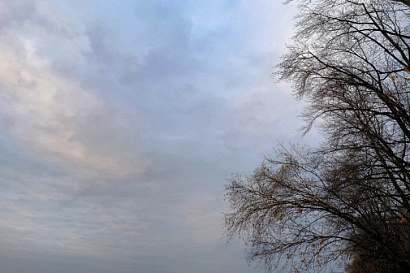 Название статьи