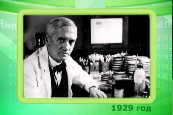 Календарь губернии 13.08.2013 