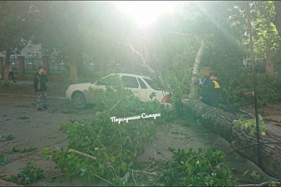 В Самаре ветер ломает деревья пополам