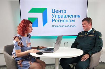 Берегут лес: как в Самарской области борются с насекомыми-вредителями