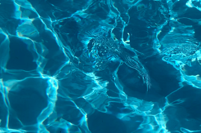 На Алтае годовалая девочка утонула в надувном бассейне