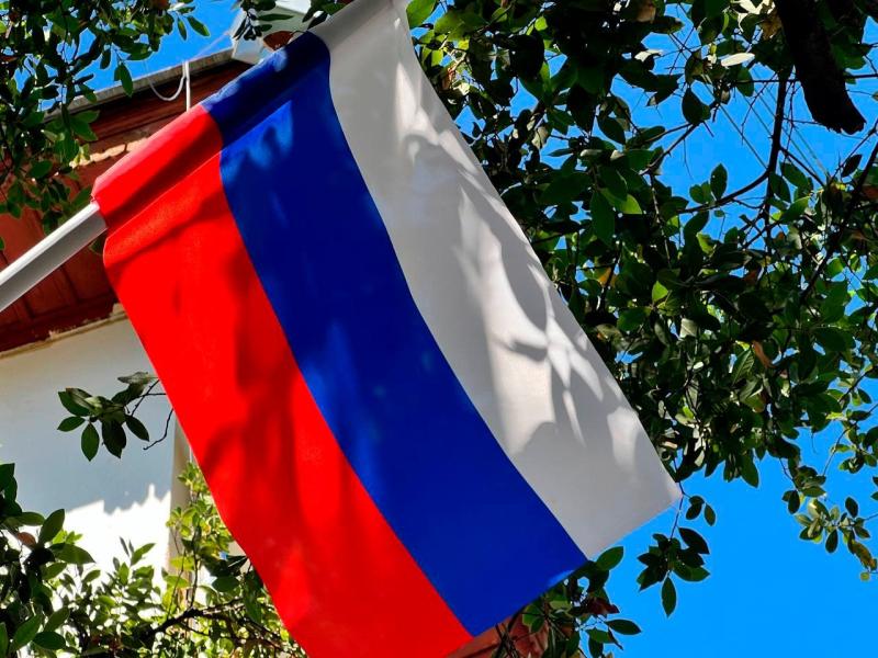 Встреча с Олегом Кононенко, викторина и просветительская программа: в Самаре в Струковском саду отметят День народного единства