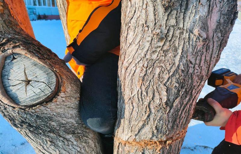 В Самарской области застрявшую в дереве ногу ребенка вытаскивали с помощью домкрата