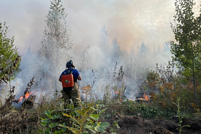 В Тольятти разыскивают поджигателя леса