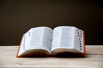 В орфографический словарь русского языка внесли 151 новое слово