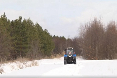 Заслуженный лесовод региона рассказала, почему Чапаевский питомник называют родильным домом