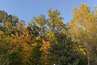 В Самарской области 29 сентября ожидается сильный южный ветер